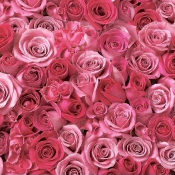 Meet your Posher, Harmony - Picture 1 of 1